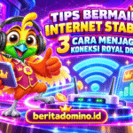 tips internet stabil saat bermain Royal Dream dengan saran Roya mengenai sinyal dan WiFi